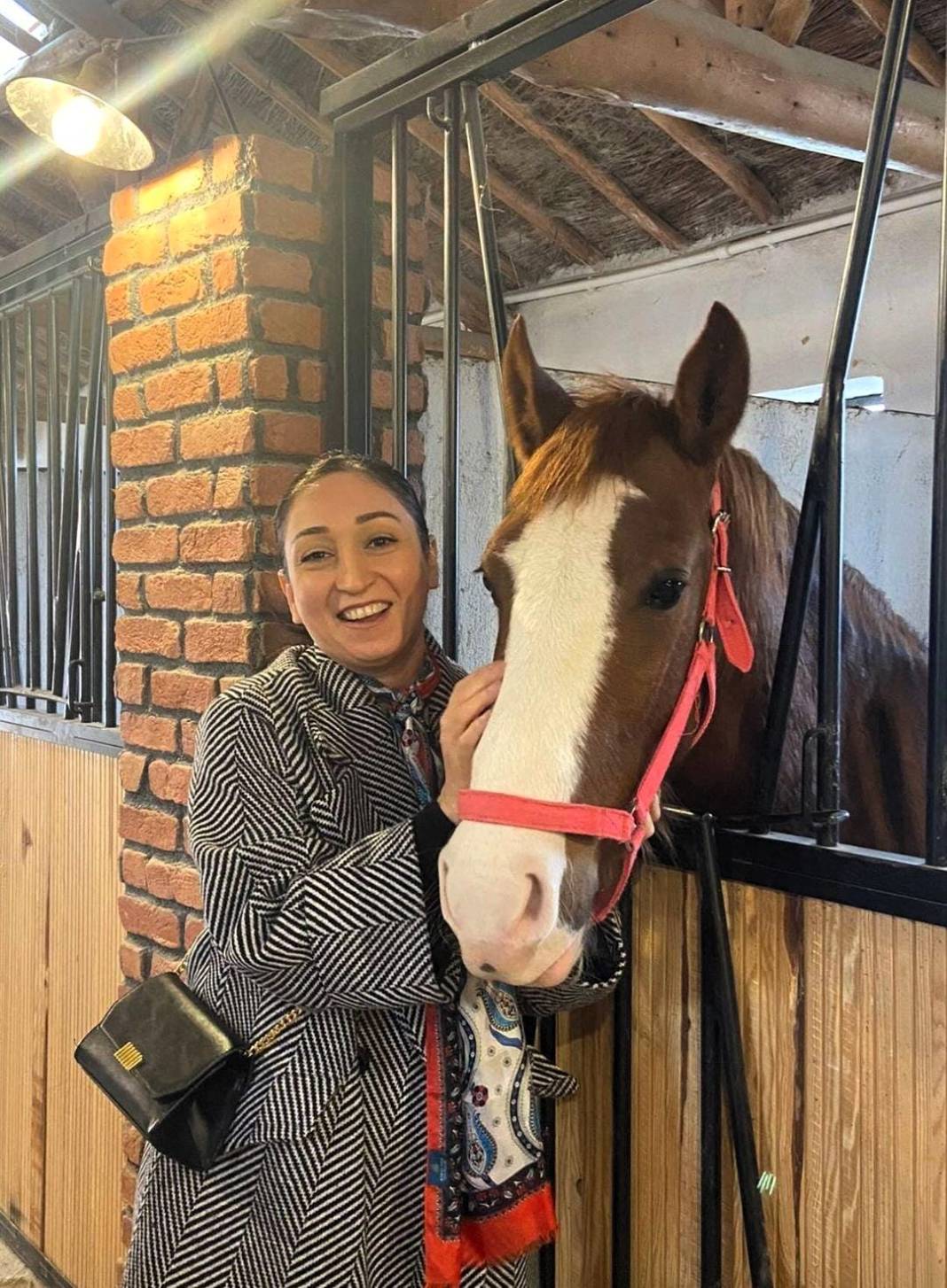 Palancı'nın at sevgisi 1